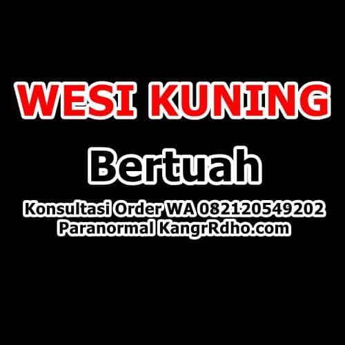 Gambar Wesi kuning besi kuning Asli Bertuah Berenergi positif aman dari k ridho Jakarta Pusat Tokopedia