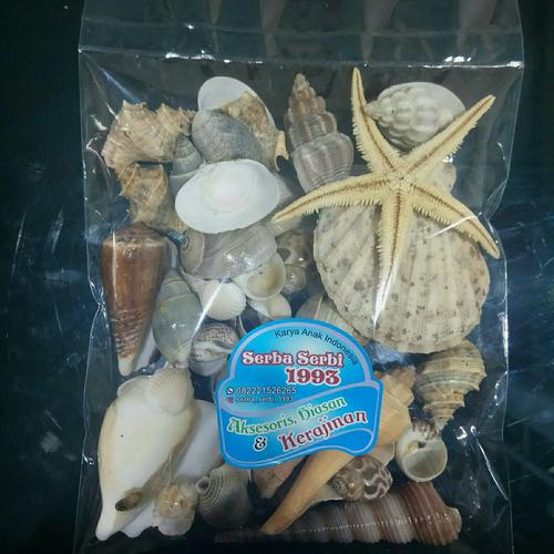 Foto Produk Aksesoris Kerang Laut Campuran 200gr dari serba serbi 1993