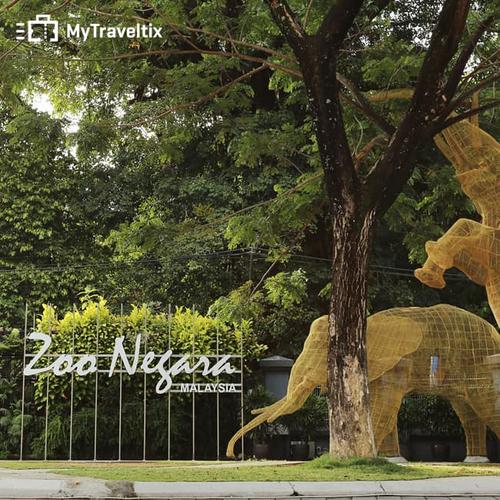 Jual Tiket Masuk Zoo Negara Malaysia Dewasa Jakarta Barat Mytraveltix Tokopedia