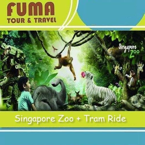 Foto Produk Tiket Singapore Zoo + Tram Ride - Dewasa dari Fuma Tour