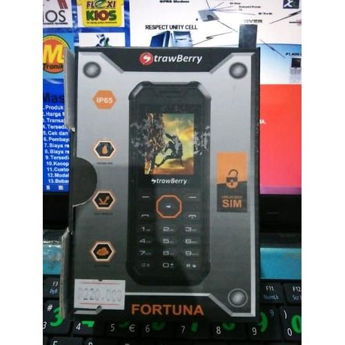 Foto Produk Strawberry ST338 dari raja store mdn