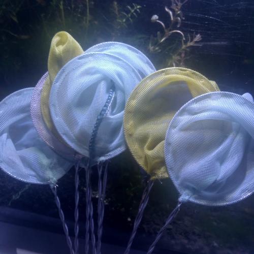 Foto Produk serokan ikan cupang dari Q Aquascape