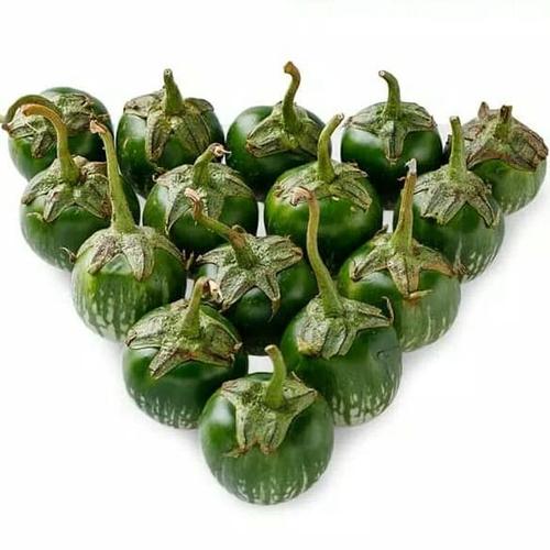 Gambar Terong hijau bulat fresh dari happy_food Jakarta Timur Tokopedia