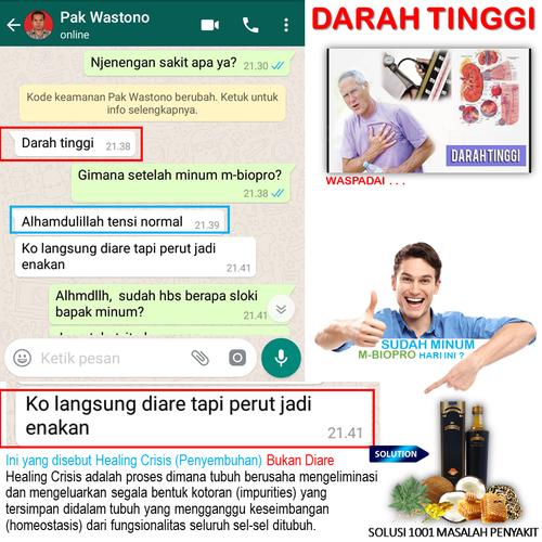 Foto Produk Obat Darah Tinggi disertai Pusing - MBIOPRO Herbal Probiotik dari Istiqomah-Store