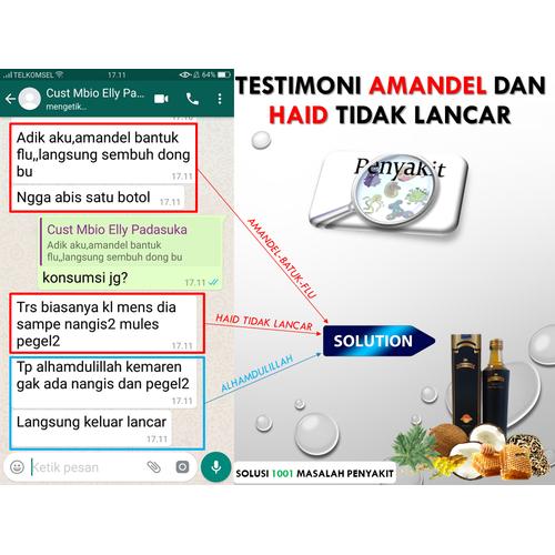 Foto Produk Solusi Penyakit Amandel Tanpa Operasi dengan MBIOPRO Herbal Probiotik dari Istiqomah-Store