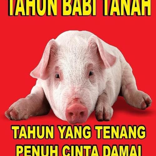 Foto Produk HOT SALE Buku Cap Jie Shio Tahun Babi Tanah 2019 Karya Suhu Ong dari Ria Sentosa olshopi