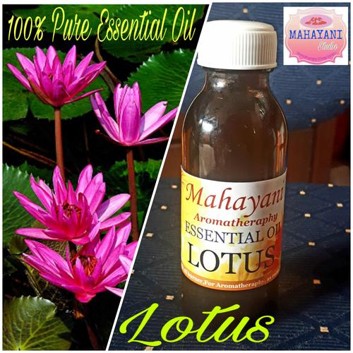 Jual 100 Pure Essential Oil Lotus Minyak Teratai 100 Murni 100ml 15ml Kota Surabaya Mahayani Studio Tokopedia