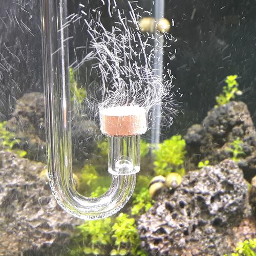 teddy bear german shepherd