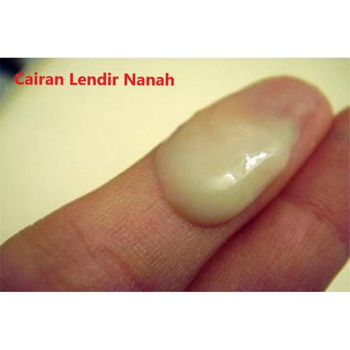 Jual kelamin mengeluarkan cairan putih seperti lendir nanah - Kab 