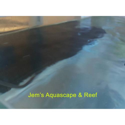 Jual Air Laut Asli 19 Liter untuk Akuarium Laut (Natural Salt Water