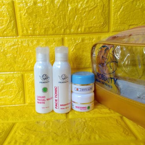 probeauty skincare