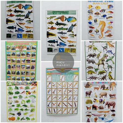 Foto Produk Poster Edukasi anak termurah isi 5 pcs dari Maju Mandiri 88