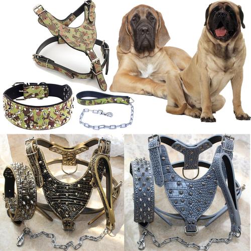 leather dog harness