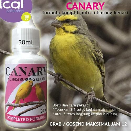 Nutrobird Supplement Canary Gacor Kenari Konslet Kenari Nutrisi Burung Kenari Nutrisi Burung Kontes Vitamin Burung Birdvit Suplemen Burung Kenari Stres Burung Asli Original Lazada Indonesia