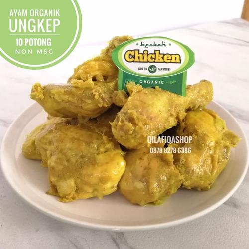 Gambar AYAM ORGANIK UNGKEP SEHAT, HALAL, NON MSG, BEBAS PENGAWET 1 EKOR - 900 gr 10 pcs dari QilaFiqa Shop Kota Depok Tokopedia