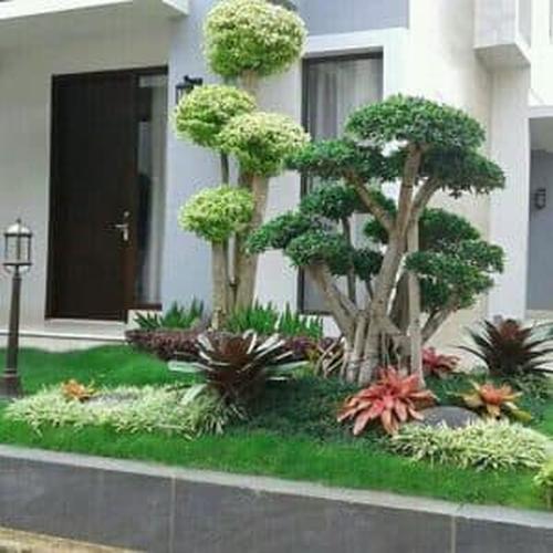 Taman Minimalis Taman Minimalis