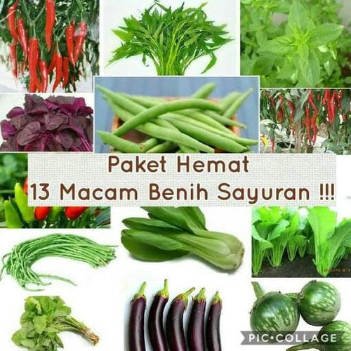 Foto Produk Paket Hemat Benih 13 Jenis Sayuran Plus Bonuss dari Raka Here_shop