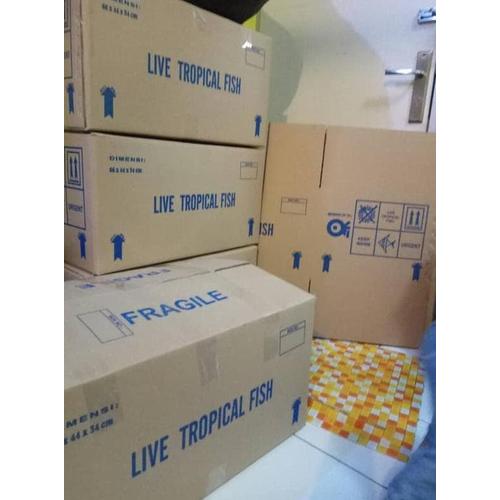 Foto Produk Kardus Buat Packing dari Raka Here_shop