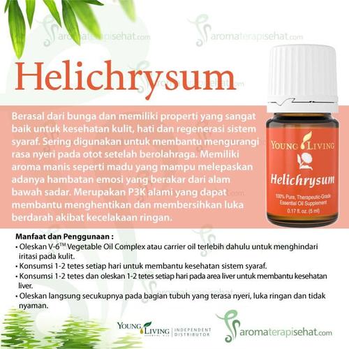 Helichrysum 2024 young living