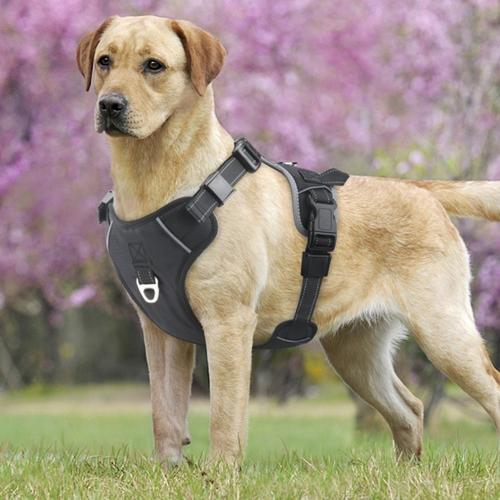 pet harness with handle