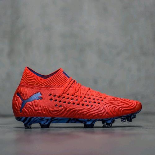 x Puma Future 19.1 Netfit Low Fg AG 