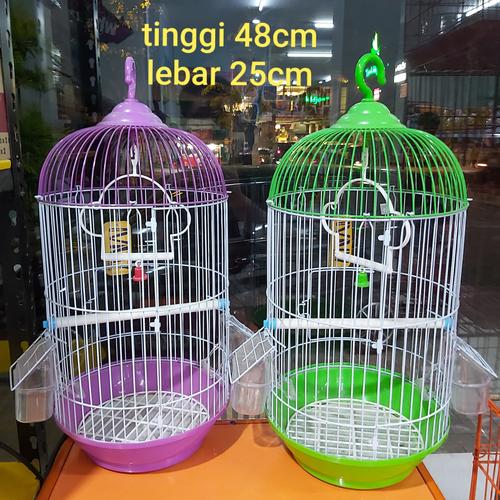 sangkar sugar glider