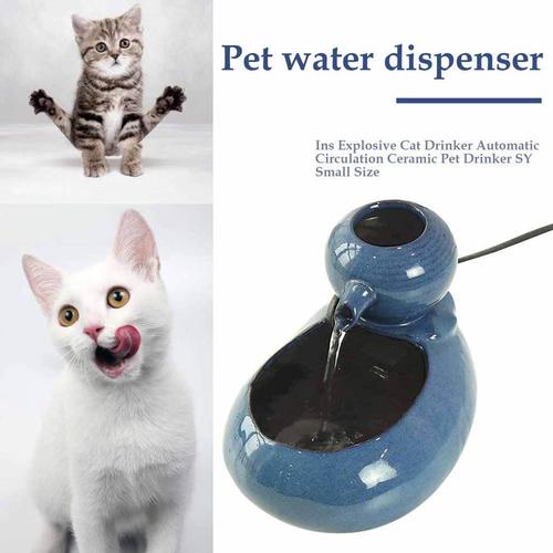cat it water fountain