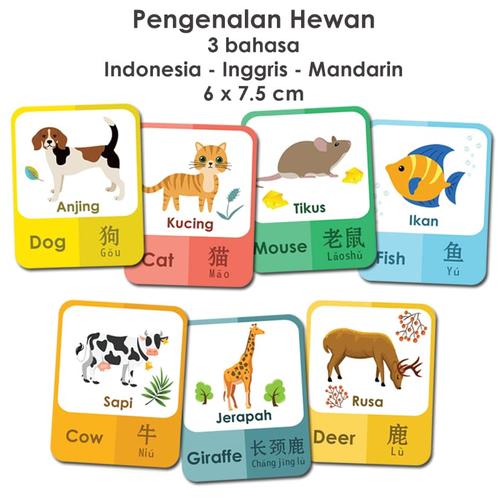 Foto Produk Flashcard pengenalan hewan 3 bahasa / kartu pintar anak dari Little Mochi
