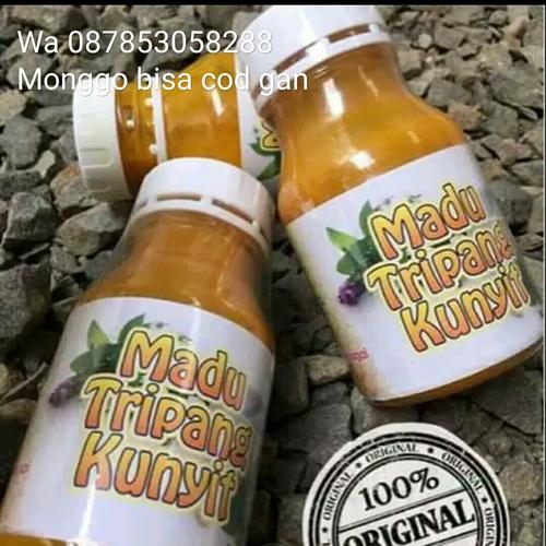 Foto Produk madu tripang kunyit dari caesar jaya