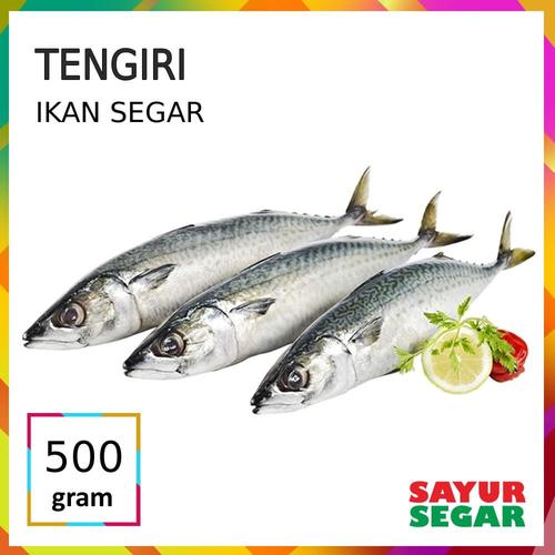 Harga Ikan Tenggiri 2019