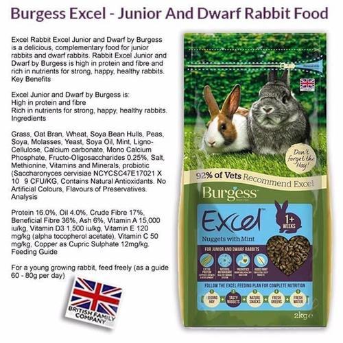 burgess excel junior