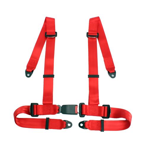 4 point harness car