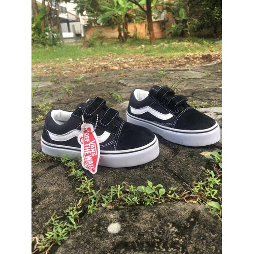 vans pl