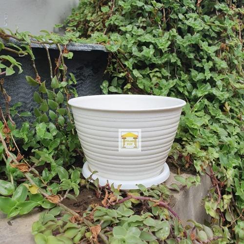 Foto Produk pot bunga tanaman tawon putih 12cm + tatakan putih dari pilar pot