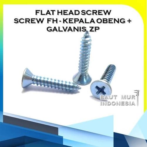Jual Screw FH+ Tapping Screw Kepala Rata M4 x 1/2 Isi 100pcs - Kab ...