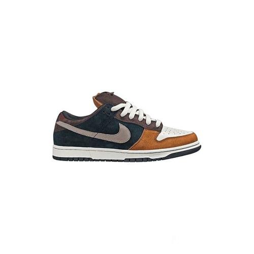 nike pro b dunk
