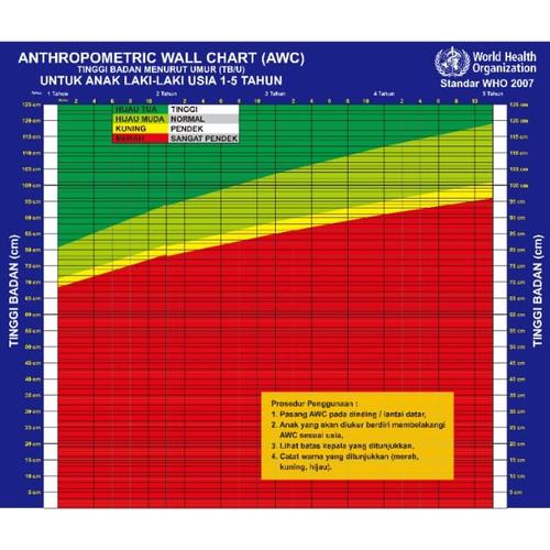 Jual Anthropometric Wall Chart Awc Bagan Antropometri Bayi Laki Kab Jepara Tikar Stunting Tokopedia