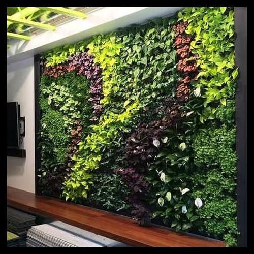 Jual Jasa Pembuatan Kebun Taman Vertical Garden - Green Wall - Kab Bogor - Husk Project Tokopedia