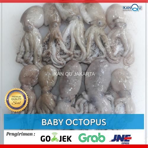 Jual BABY OCTOPUS 1Kg/Baby gurita segar/Baby octopus - 1 kg - Jakarta