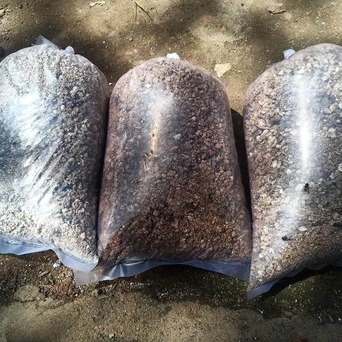 Foto Produk Kotoran puyuh /kohe puyuh/kotoran burung puyuh - Lembab dari NBI Store