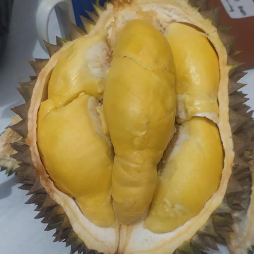 Gambar Durian Bawor Menul Utuh - 4.32 dari Dnd-83 Jakarta Selatan Tokopedia