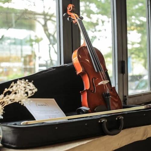 Foto Produk Biola Akustik 4/4 - Biola Makoa Full Set Hardcase - Violin Makoa dari sarabeautycare and music