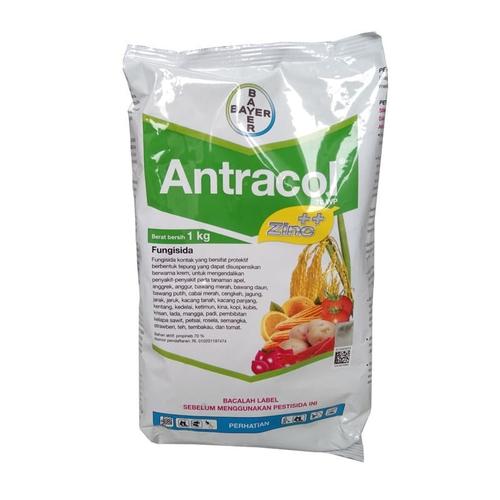 Jual Fungisida Kontak Antracol 70 Wp 1 Kg Pengendali Penyakit Tanaman Kota Bandung Toko Pertanian Arsya Tokopedia