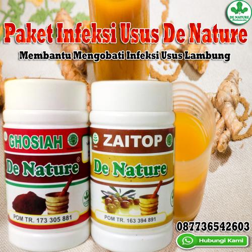 Jual Obat Radang Infeksi Usus Buntu Dan Lambung Herbal Tradisonal Asli Kota Surabaya Apotik Herbal Surabaya Tokopedia