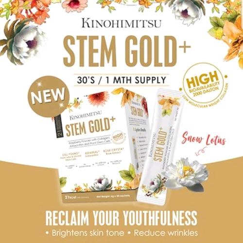 Foto Produk Kinohimitsu Stem Gold Plus 30 Sachets dari Honghong Store