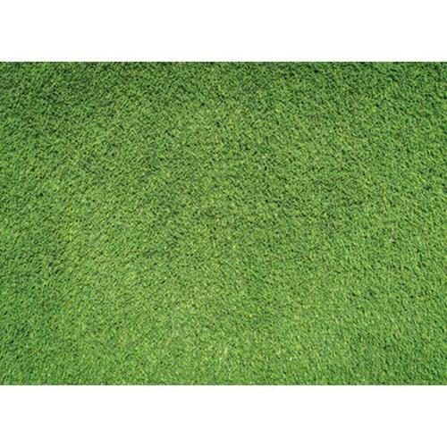 Jual Terlaris ! Alas Foto Lipat Rumput 42X30 Cm / Background Foto Rumput - Jakarta Barat - ZALIKAfotografi | Tokopedia