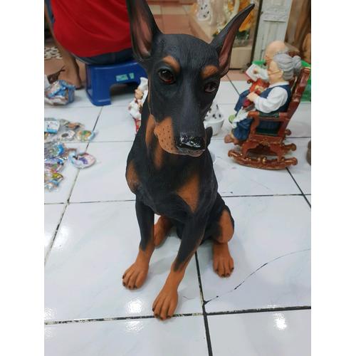 mini doberman price