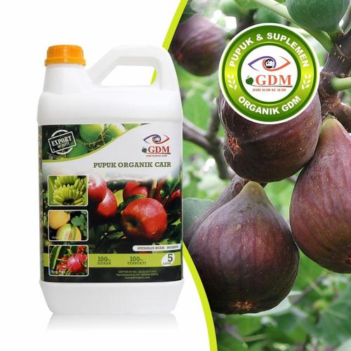 Promo Pupuk Organik Gdm Untuk Buah Tin 5liter Gdm Official Store Tokopedia