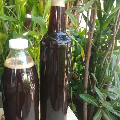Foto Produk madu klanceng asli prigen dari idhoh collection