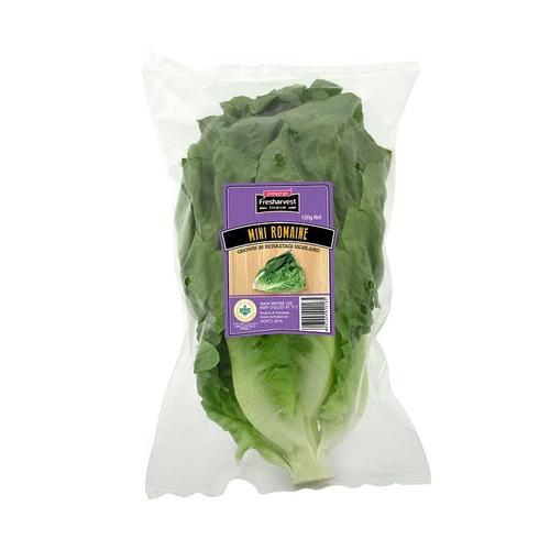 Jual Sayur Salad Mini Romaine Lettuce Fresharvest Kota Medan Fresharvest Medan Tokopedia